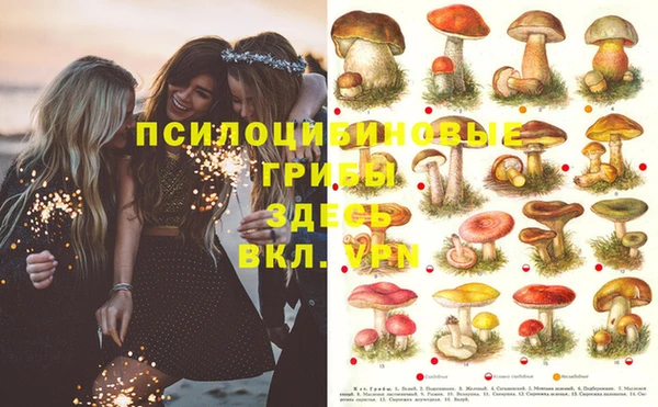 каннабис Абаза