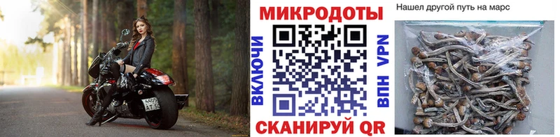 Псилоцибиновые грибы мухоморы  Жердевка 